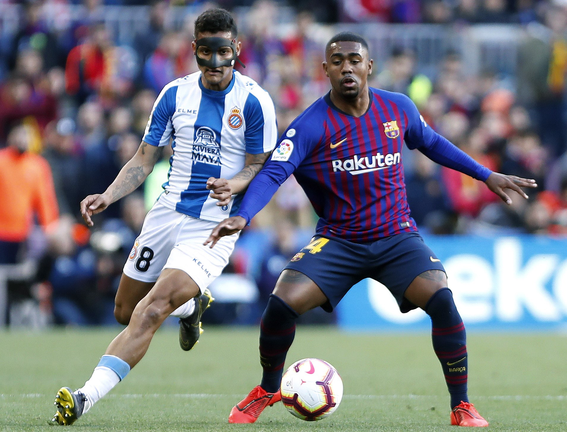 西班牙篮球联赛强队问鼎冠军，球迷狂欢